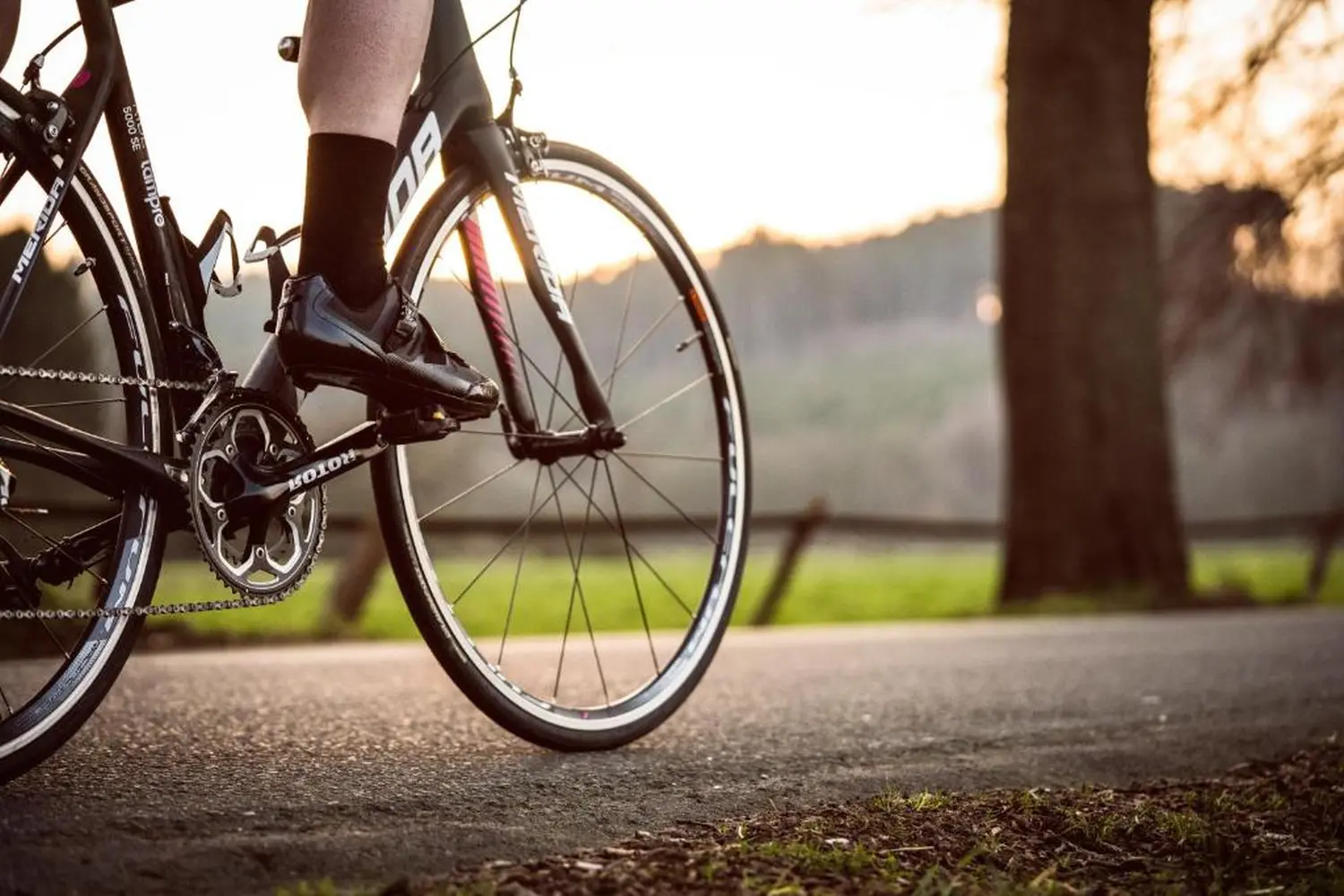 DE SUITE – Winterberg Deluxe, fiets